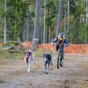 Non-stop Bungee leash double - Image 4
