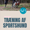 Øg intensiteten - Træning Af Sportshund, e-bog - Image 3