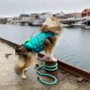 Non-stop Protector life jacket - Image 7