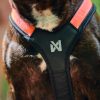 Non-stop Rush harness - Image 5