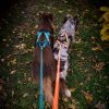 Non-stop Rush harness - Image 9