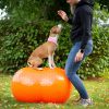 Peanut balancebold med pigge - Image 2