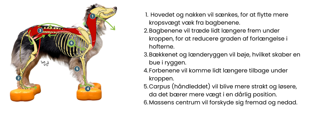 kompensationsmønstre