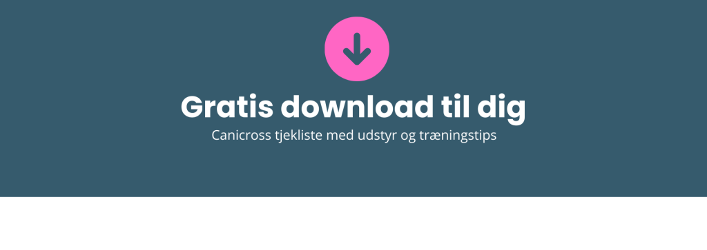 canicross tjekliste