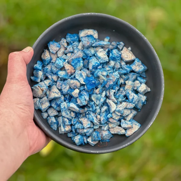 BLÅ SPIRULINA